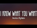 Busta Rhymes Mariah Carey I Know What You Want Lyrics Ft Flipmode Squad