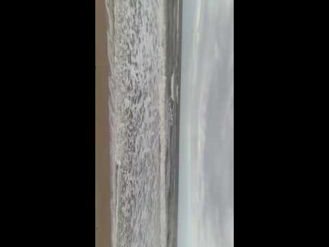 El leguaje del agua.