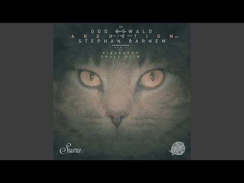 The Capture (Original Mix)