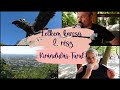 Kirándulás Turul Tatabánya
