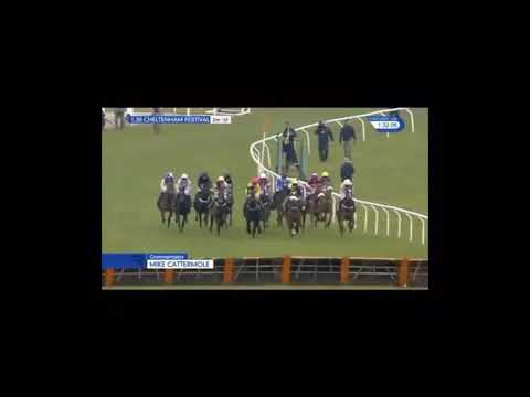 Rate footage of altior winning the supreme novices hurdle