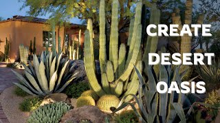 top desert plants for a droughttolerant garden  gardeners world