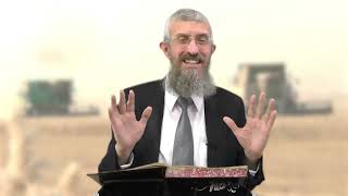 מסכת מנחות דף מו - 8 דקות של לומדות ועמקות בדרך הלימוד הישיבתית [Menachot 46]