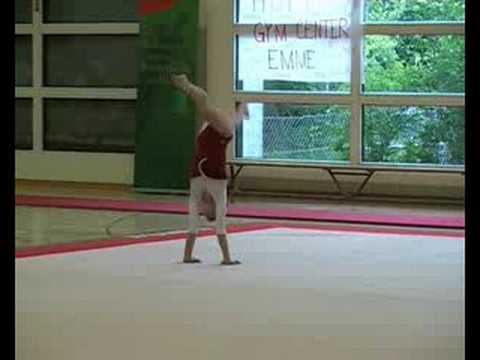 2008 SMJ Schreiber Eliane FX