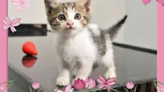 Hep beraber deliriyoruz