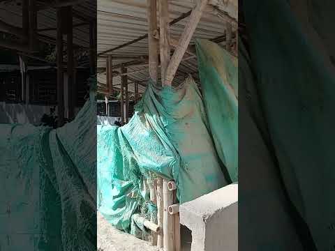 Quebrada El Guayabo entre Oporapa y Saladoblanco, Huila