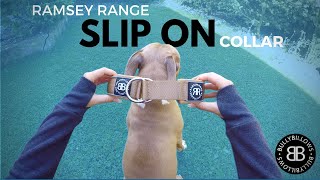 RAMSEY RANGE Slip On Collar
