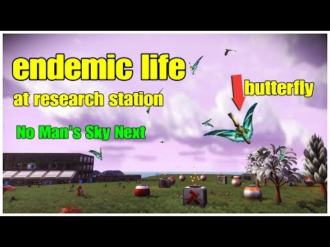 Endemic Butterfly - No Man's Sky Abyss - Research Station 8