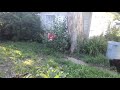 Caught My Wife Outside Peeing