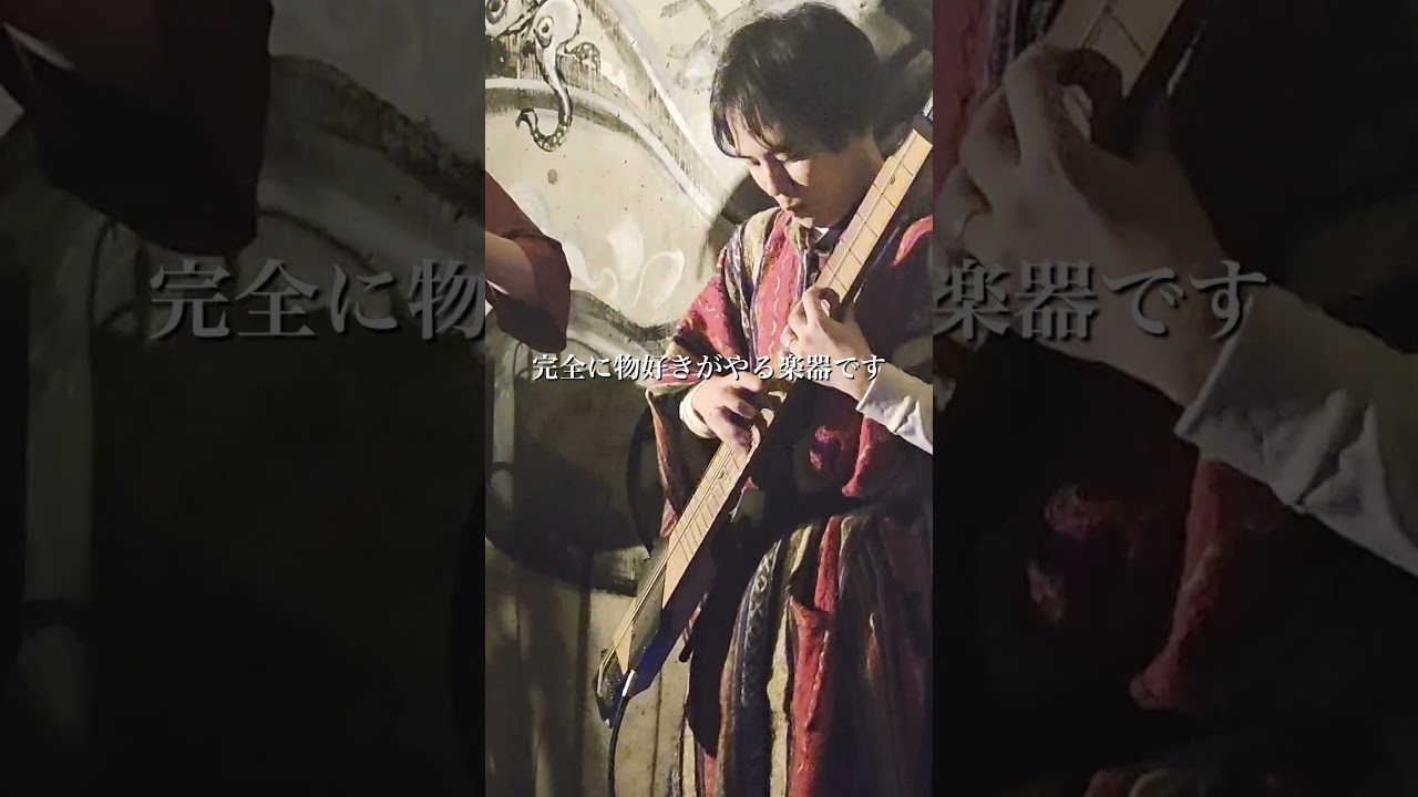 【全22弦】日本で100人しかいないうちの2人が揃うとこうなる。#ギター