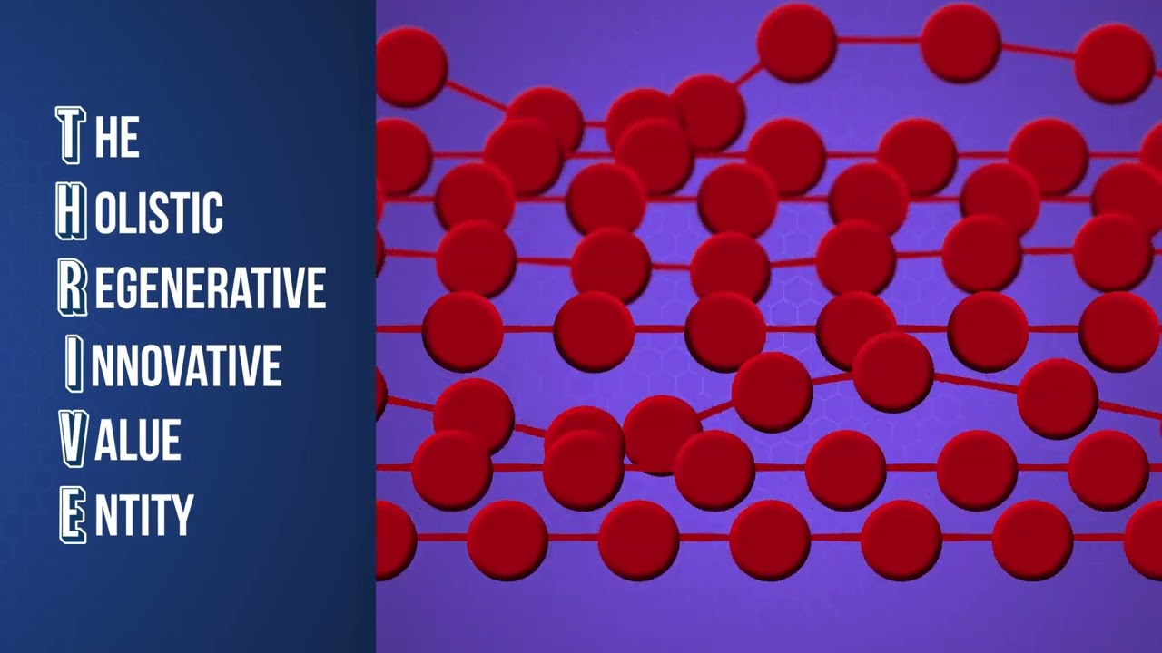 Systemic Holistic Model | THRIVE Framework | THRIVE