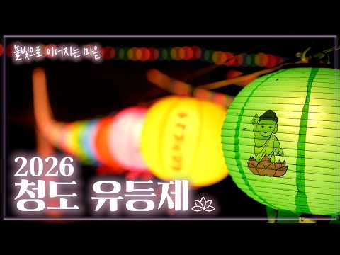 청도의 밤을 밝히는 유등의 빛✨ | 2026 청도유등제