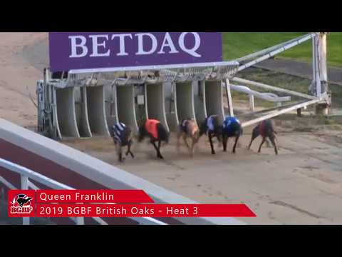 BGBF British Oaks - Heat 3 - Queen Franklin