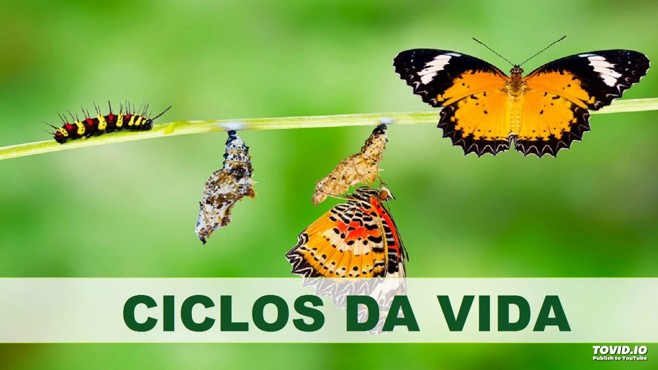 Ciclos da Vida, tudo tem inicio, meio e fim.