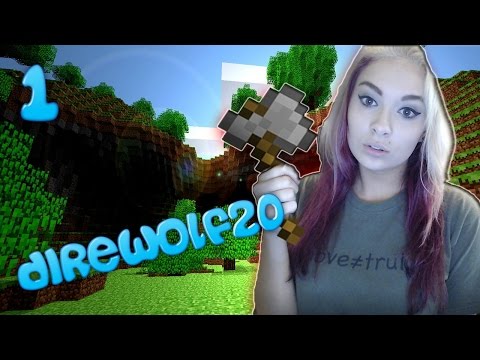 Minecraft: FTB Direwolf20 Modpack Let's Play Series w/Facecam Ep. 1
