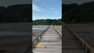 蓬莱橋②