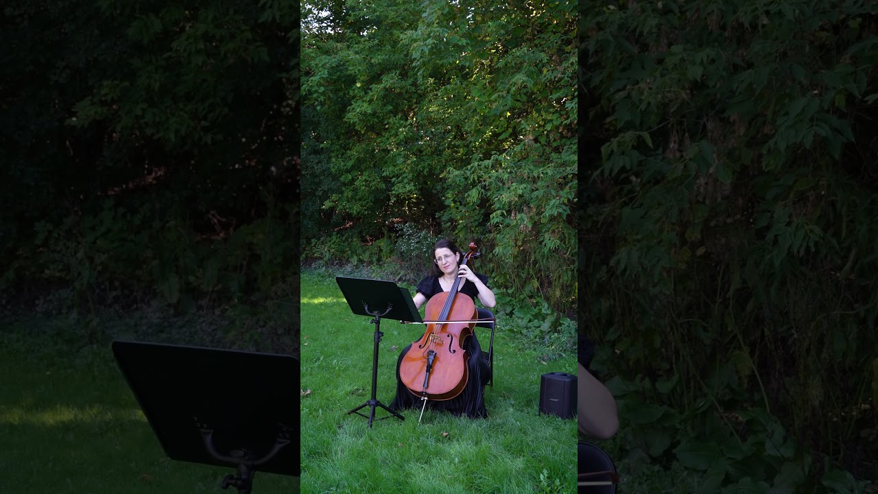 Promotional video thumbnail 2 for Cellist Zaida