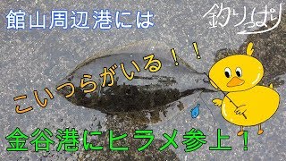 【館山釣り情報】令和初撮り！よろしくお願いします(*'▽')【釣りっぱり】