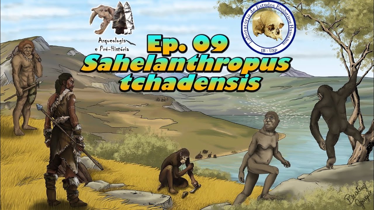 Sahelanthropus tchadensis | Série Evolução Humana | Ep. 09