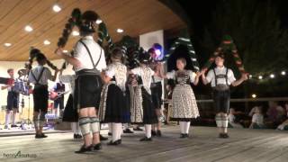 preview picture of video 'Schlechinger präsentieren Sterntanz - Bavaria Dance'