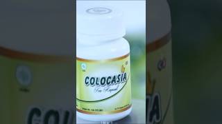 Download lagu Bergerak tanpa hambatan dengan Colocasia ! #testimoni #colocasia #lejel mp3