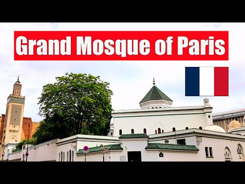 🇫🇷 Inside the Grand Mosque of Paris just before the Jummah prayer. Paris Masjid, France