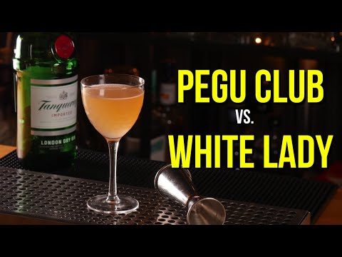 Citrusy and Refreshing EASY  Gin Classics