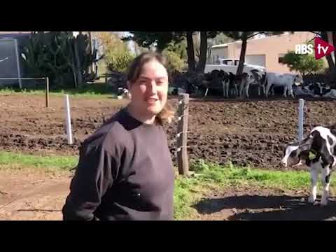 Tambo lechero celebra resultados con Beef on Dairy