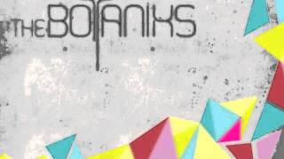 Local Natives - "Who Knows, Who Cares" (Botaniks Remix).m4v