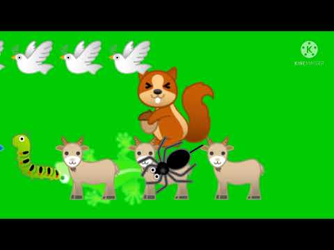 хромакей зверей