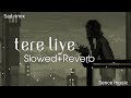 Tere Liye Song Tere Liye Song Lofi Tere Liye Slowed And Reverb Dj Sence Music