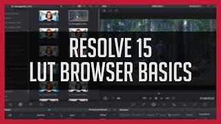 LUT Browser Basics - DaVinci Resolve 15 Tutorial