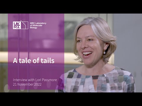 Lori Passmore - LMB Through the Years