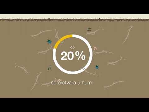 Za uravnotežen plodored: KWS Fit4NEXT smjese za zelenu gnojidbu