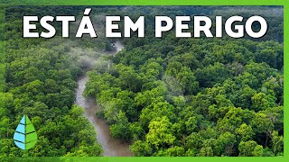 Miniatura do vídeo