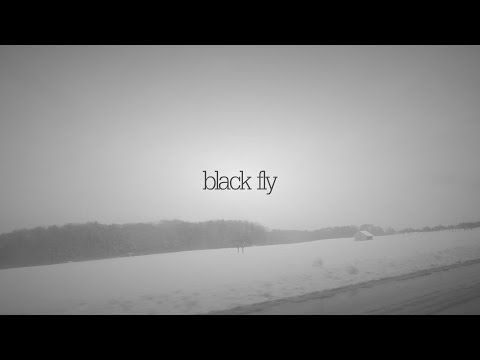 Brothers Of Ivory - Black Fly