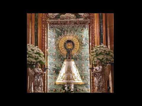 Mantos de la Virgen del Pilar. Familia Pinilla Galindo     #mantosdelaVirgendelPilar