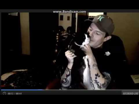 Meowingtons attacks deadmau5 on Ustream