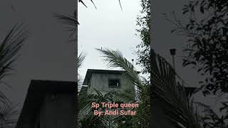 Download lagu Sp triple queen vs tarik senja (suara By. Andy sufar // sufar sinar 77) mp3