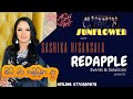 SASHIKA NISANSALA WITH SUNFLOWER ඔබ මා හමුවුන දා Splash Night 2016 Redapplem