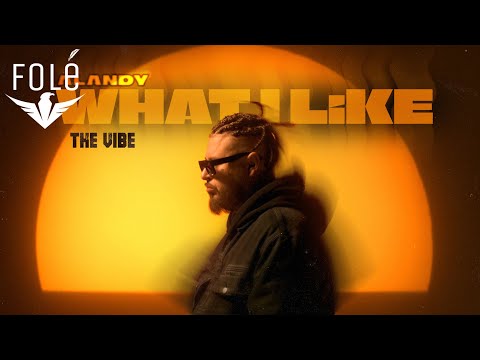 Alandy - THE VIBE