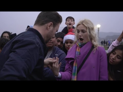 Tarantula 2 by Yigal Mesika