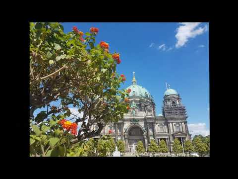 Die 3 Travellers, Heimweh nach dem Kurfürstendamm