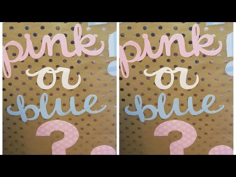 SURPRISE GENDER REVEAL | Family Vlog #201 - Sharron's Take