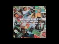 The Troubleneck Brothers 1994 Back To The Hip Hop Pure VLS