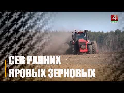 Все районы Гомельщины приступили к посевной видео