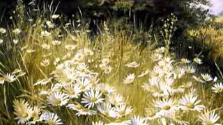 Vladimir  Cosma    Megperzselt szívek