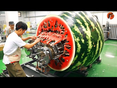 Modern Food Processing Machines operating at an Insane Level ▶2