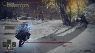 [エルデンリング]2周目:火の巨人SL110