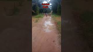 Download lagu Terjebak Banjir ,Dikebun Sawit #shortsvideo7 mp3